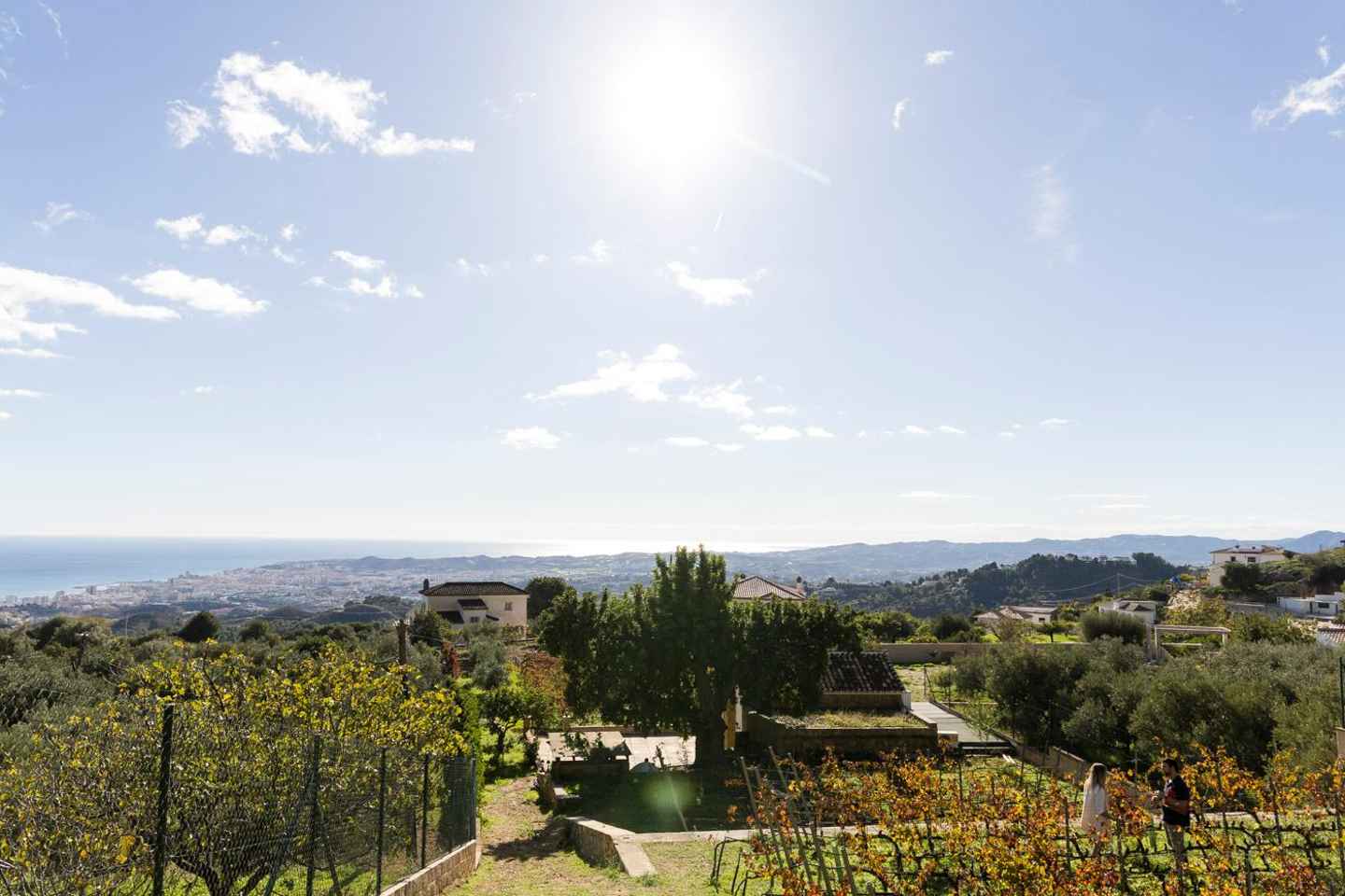 Near Malaga: Mijas Organic Vineyard, 5 Wines, 2 Oils & Tapas