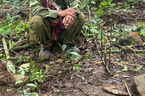 Retraite bien-être dans la nature