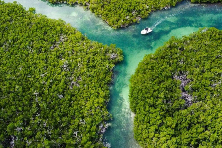 Key West: prywatny czarter łodzi z kapitanemKey West: Prywatny czarter łodzi z kapitanem