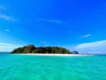 Krabi: Wycieczka łodzią motorową na wyspy Phi Phi i do zatoki Maya z lunchem