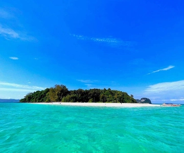 Krabi: Phi Phi Islands & Maya Bay Speedboat Tour with Lunch