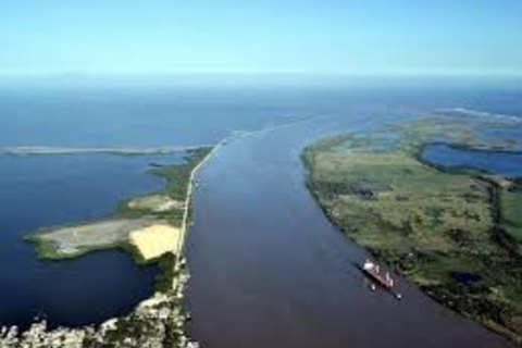 Check out the Mallorking Swamp Ecopark + the Magdalena River Mouth View of the Mallorking Ecopark + view of the Magdalena River mouth