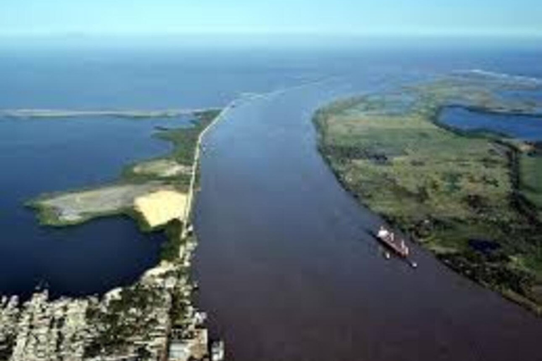 Check out the Mallorking Swamp Ecopark + the Magdalena River Mouth View of the Mallorking Ecopark + view of the Magdalena River mouth