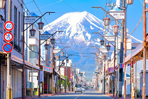 Mount Fuji Day Tour: Instagrammable Spots + Scenic Train From Tokyo (Including ropeway and cruise)