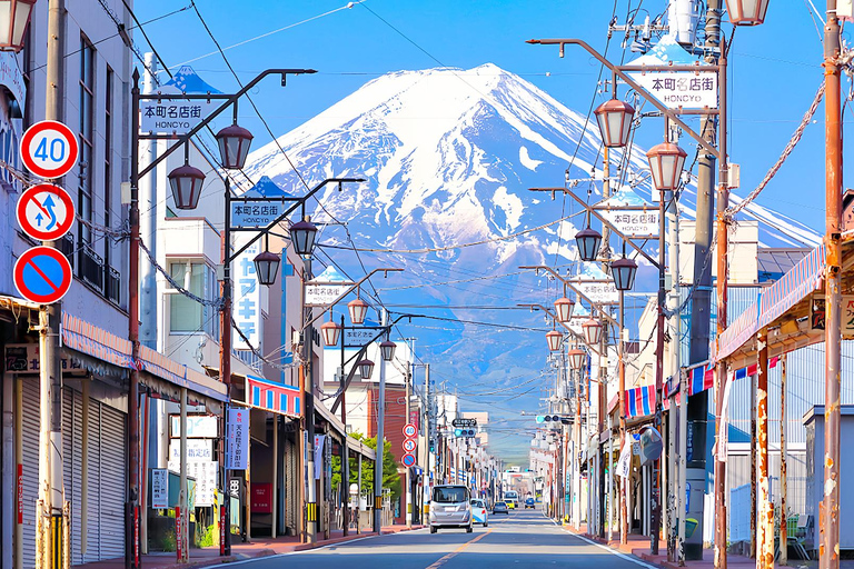 Mount Fuji Day Tour: Instagrammable Spots + Scenic Train From Tokyo (Including ropeway and cruise)