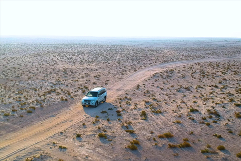 西海岸私人之旅：理查德·塞拉和沙漠奇观