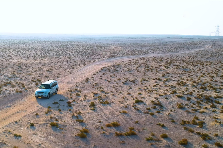 西海岸私人之旅：理查德·塞拉和沙漠奇观