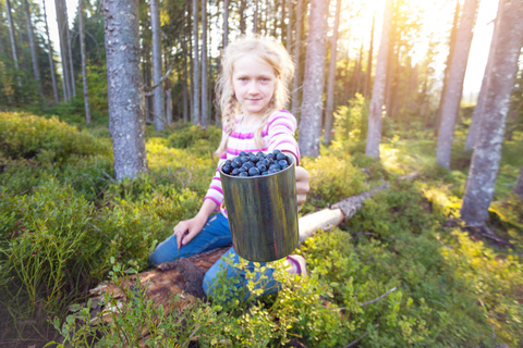 Helsinki: Berry picking with guide & Finnish BBQ + Photos