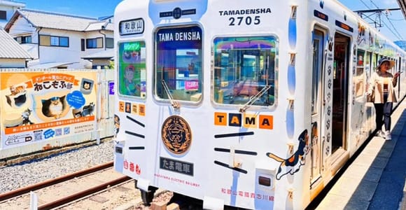 Osaka: Wakayama-Katzenzug, Fischmarkt, Tour zu heißen Quellen