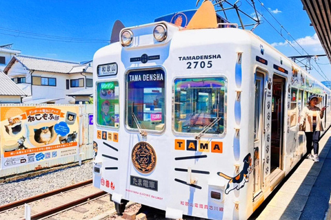 أوساكا: قطار واكاياما للقطط، سوق المأكولات البحرية، جولة الينابيع الساخنة