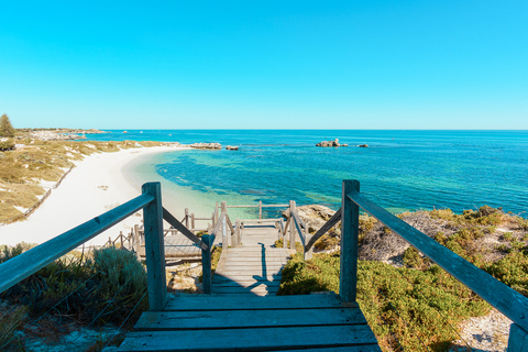 Vanuit Fremantle: SeaLink Rottnest veerboot en fietsverhuur7 AM Vertrek