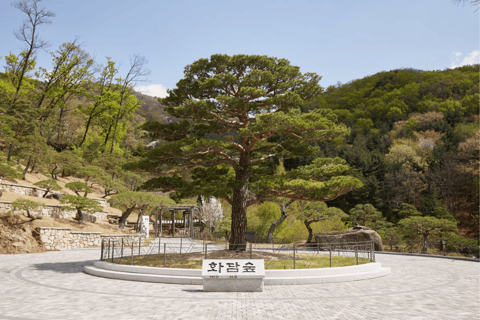 Seúl: Hwadamsup, luge y aldea folclórica coreana. Excursión de un día.Excursión en grupo, encuentro en Hongdae (Hongik Uni)