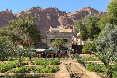 AlUla: Guided Tour with a Local Expert