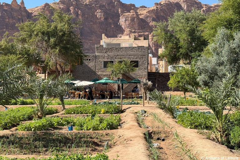 AlUla: Guided Tour with a Local Expert