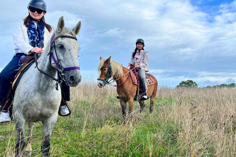 Tuscany Horseback Ride, Lunch, & Wine - Small Group From San Gimignano