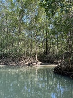 Kayak Expedition, Monkey Mangrove Safari - Housity