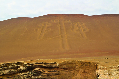 Paracas: Guidad tur med båt på Ballestasöarna