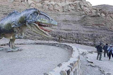 AREQUIPA: Dead Bull Petroglyphen und Dinosaurier-Fußabdrücke(Kopie von) Petroglifos Toro Muerto y Huellas de Dinosaurios