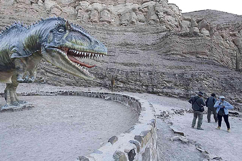 AREQUIPA: Dead Bull Petroglyphs and Dinosaur Footprints (Copy of) Petroglifos Toro Muerto y Huellas de Dinosaurios