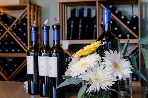 Seattle: Woodinville Guided Wine Tour with Optional Tastings