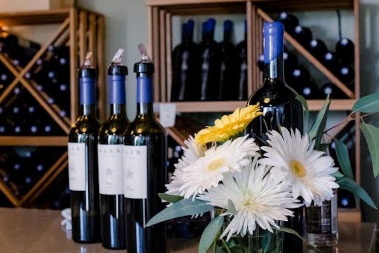 Seattle: Woodinville Guided Wine Tour with Optional Tastings