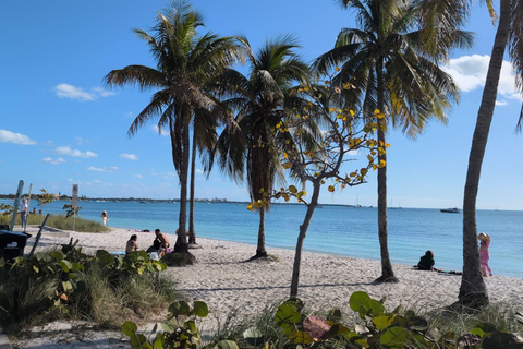 Miami Combo: Everglades Adventure and Sightseeing Tour Combo - Downtown Miami pickup