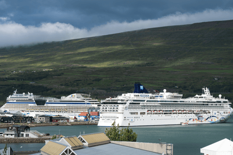 Whale Watching from Akureyri Cruise Port (Pickup included)