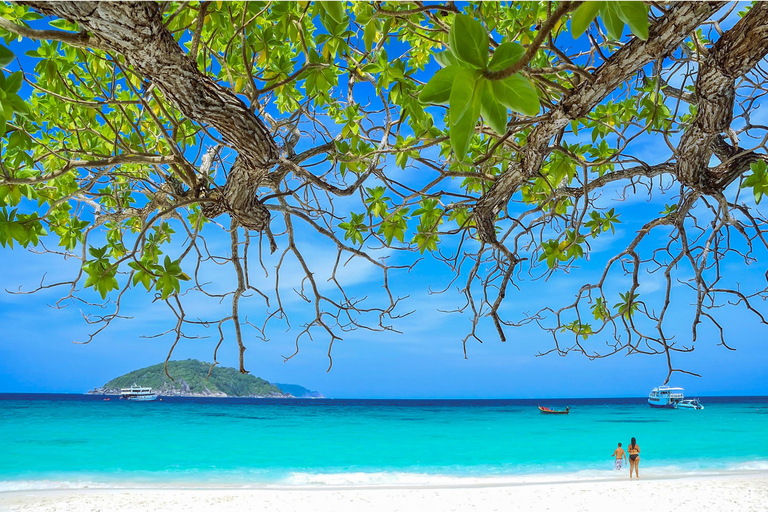 KhaoLak: Similan Islands Lazy Morning Snorkeling Catamaran