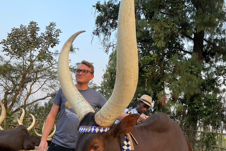 Kigali: King&#039;s Palace Museum &amp; Coffee Plantation Tour