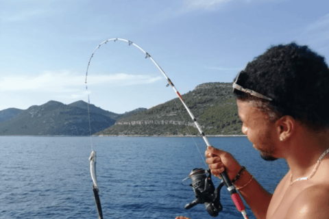 Kotor: Fishing Experience with 100% guaranteed catch
