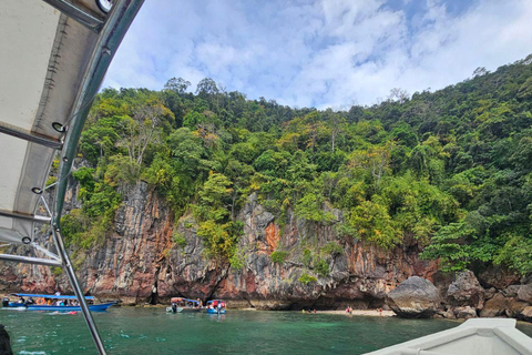 Langkawi: 3-Hour Shared Kilim Geoforest Mangrove Boat Tour