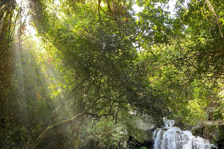 From Hue: Botanic Garden, Paradise Cave, and Dark Cave Tour