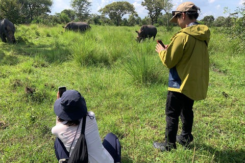 恩德培/坎帕拉：默奇森瀑布和齐瓦犀牛两日游