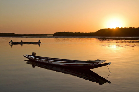Sine Saloum: Shell Island and Bird Sanctuary