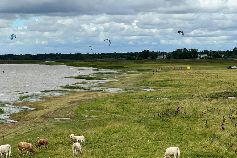 From Riga: Pärnu Day Trip – 2 Countries Seaside Experience