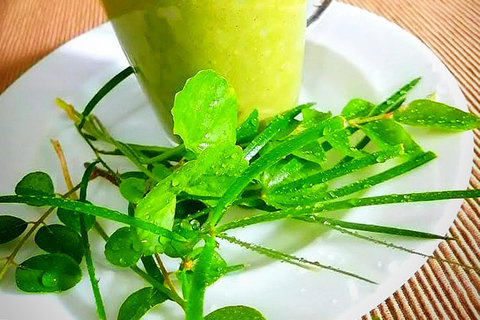 Kandy city tour and village tour in one day