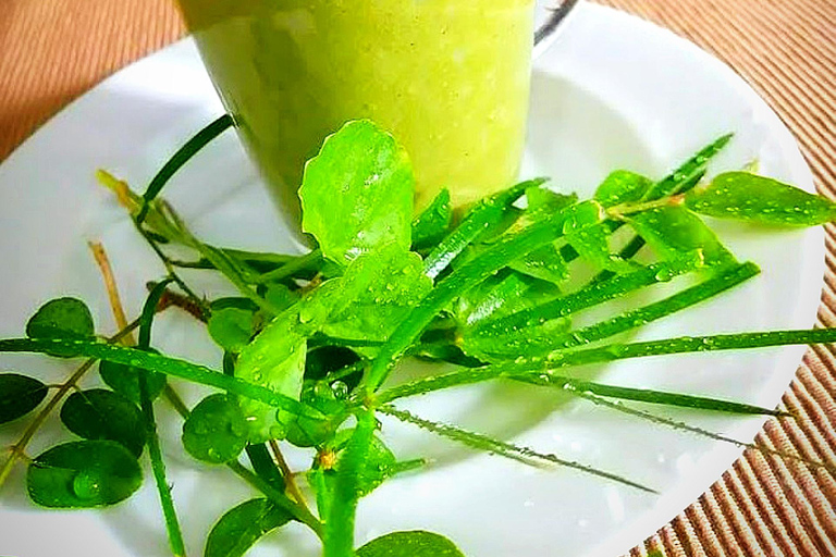 Kandy city tour and village tour in one day