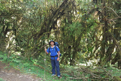 Ghorepani Poonhill Trek 3 dni