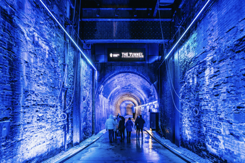 Niagara Falls: Tunnel Experience at Night & Power Station