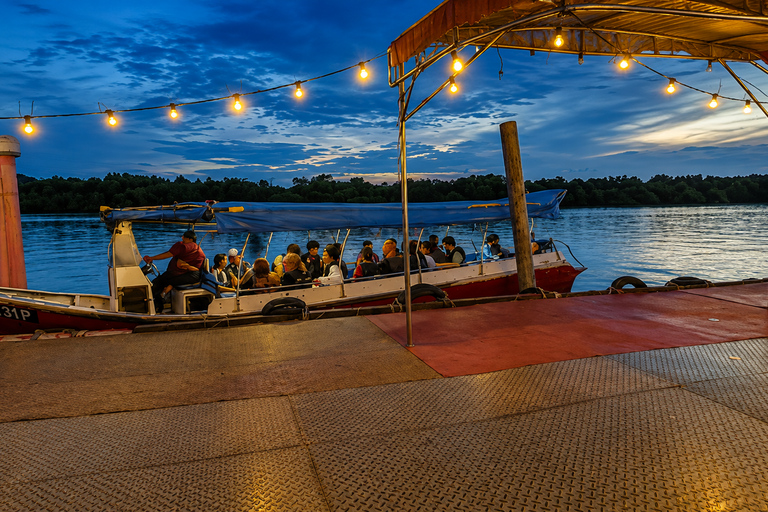 Kuala Selangor: Hidden Gems & Magical Fireflies