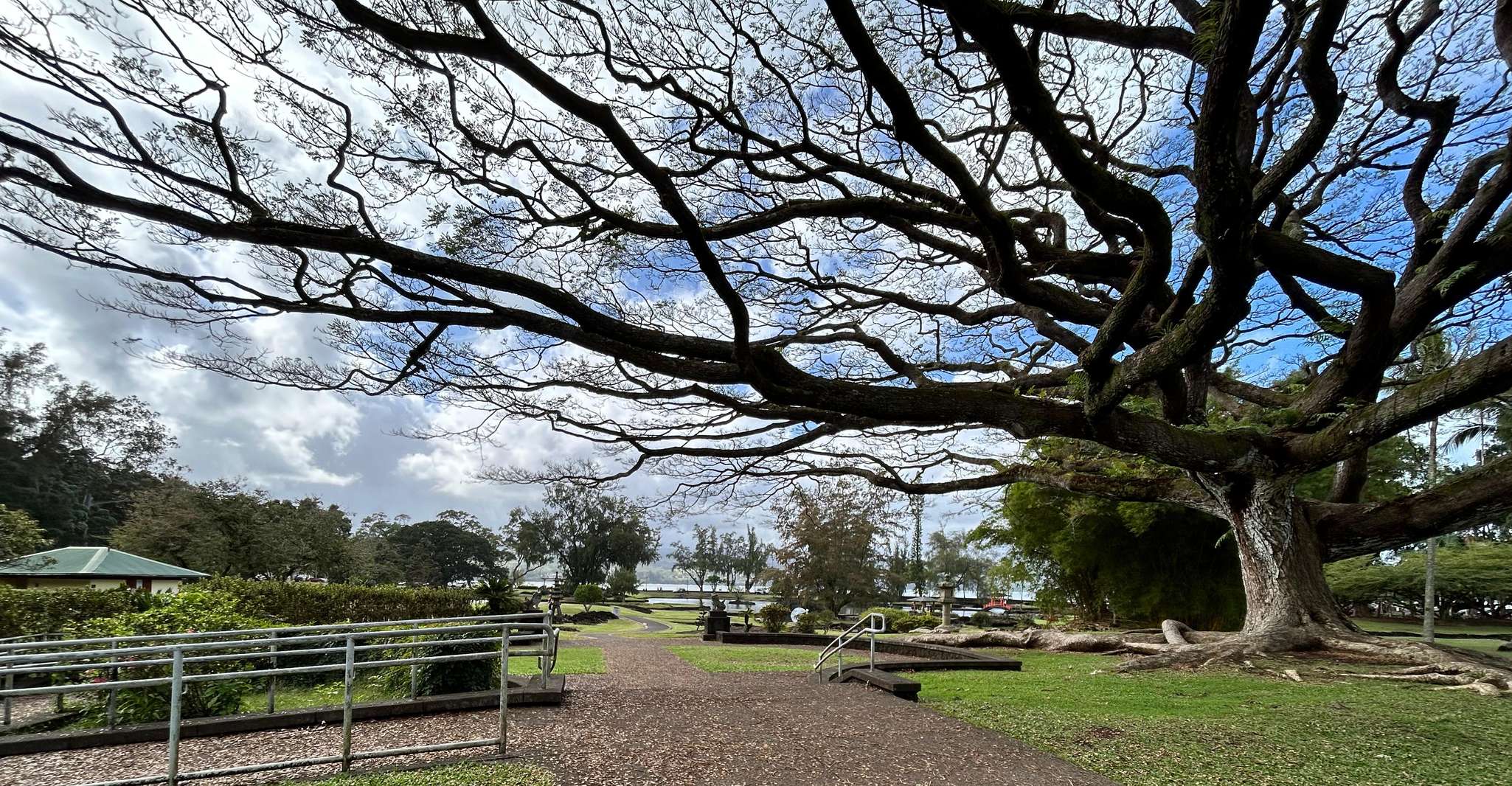 Desde Hilo, Volcanes National Park Tour de Hawaii - Housity
