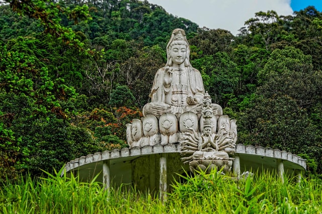 From Da Nang: Bach Ma National Park Trekking