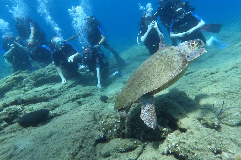 Agia Pelagia: SSI Basic Diver-programma voor beginners met 2 duiken