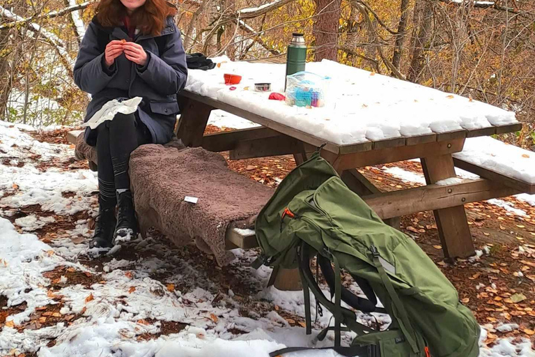 Oslo: schilderachtige wandeling met Noorse gids en traditionele gerechtenOslo: wandelen, Noors eten en adembenemend uitzicht