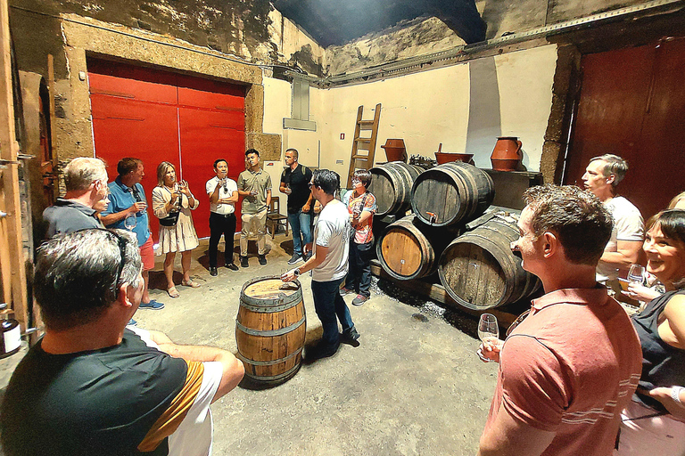 Douro Valley: Private Wine Tour with Lunch