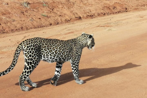 From Nairobi: 3-Day Masai Mara Safari at Sopa Lodge