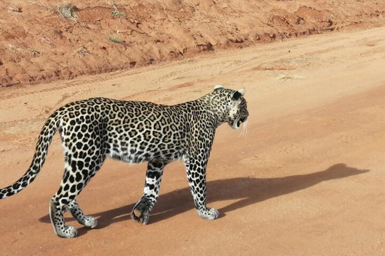 From Nairobi: 3-Day Masai Mara Safari at Sopa Lodge