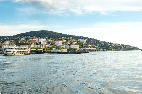 Lucerne: Private Transfer to Geneva with Montreux Stop