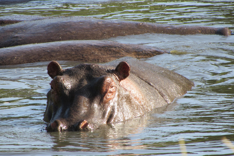 From Nairobi: 5-Day Samburu and Meru National Parks Safari
