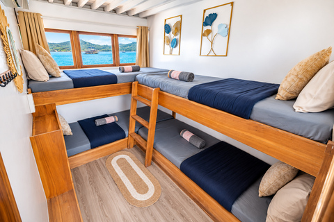 3D Komodo Sailing & Land Tour 12 Stops Single Bed & Hotel 3-Day Shared Cabin, Single Bed No Land Tour No Park Fee